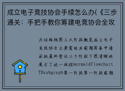成立电子竞技协会手续怎么办(《三步通关：手把手教你筹建电竞协会全攻略》)